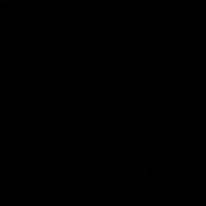 Meet your Posher, Daniela